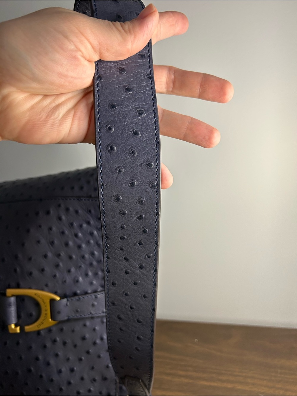 Dooney & Bourke NWT Blue Ostrich-Embossed Leather Brynn Bag Buckle Accent - Picture 14 of 14